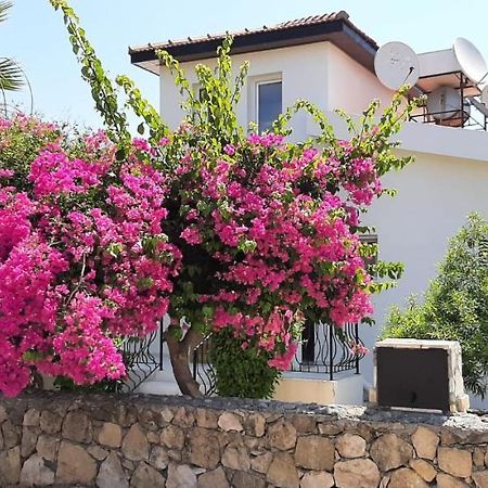 Villa Bougainvillea With Privite Pool Vasilia المظهر الخارجي الصورة
