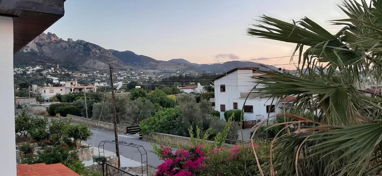 Villa Bougainvillea With Privite Pool Vasilia المظهر الخارجي الصورة