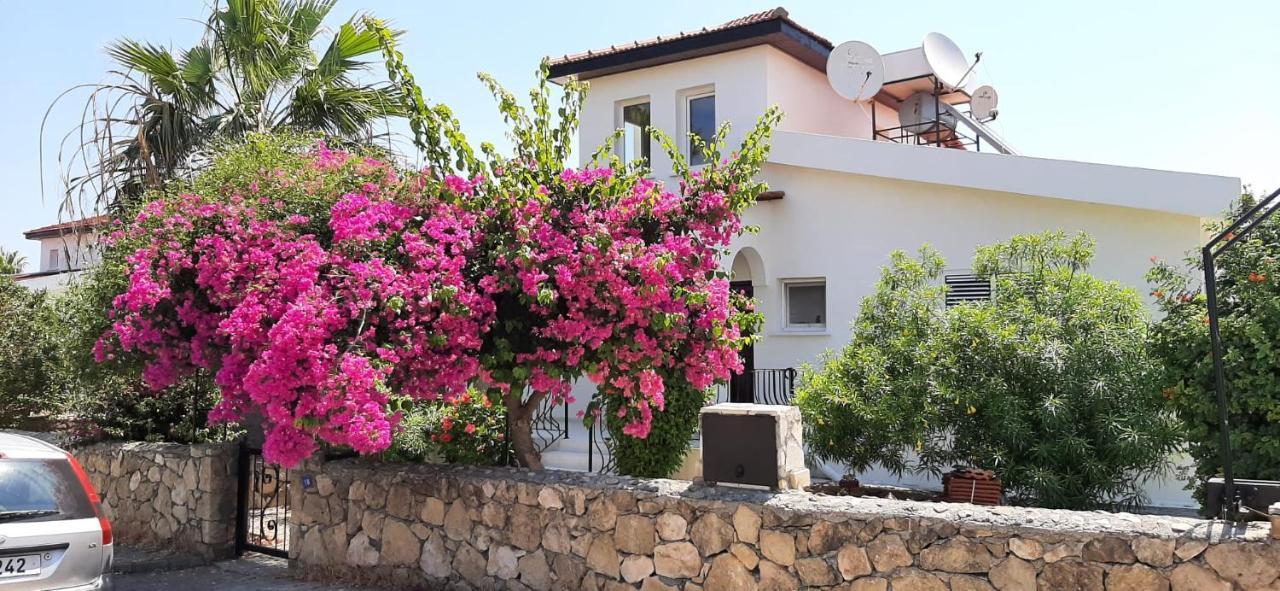 Villa Bougainvillea With Privite Pool Vasilia المظهر الخارجي الصورة