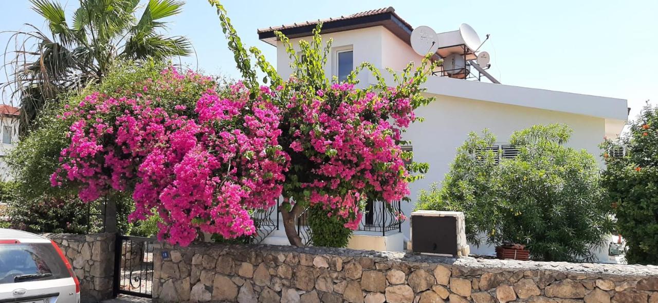 Villa Bougainvillea With Privite Pool Vasilia المظهر الخارجي الصورة