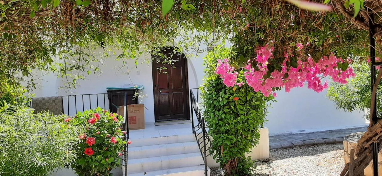 Villa Bougainvillea With Privite Pool Vasilia المظهر الخارجي الصورة